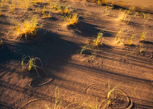 Circles In The Sand Photography Art | Rich Vintage Photography