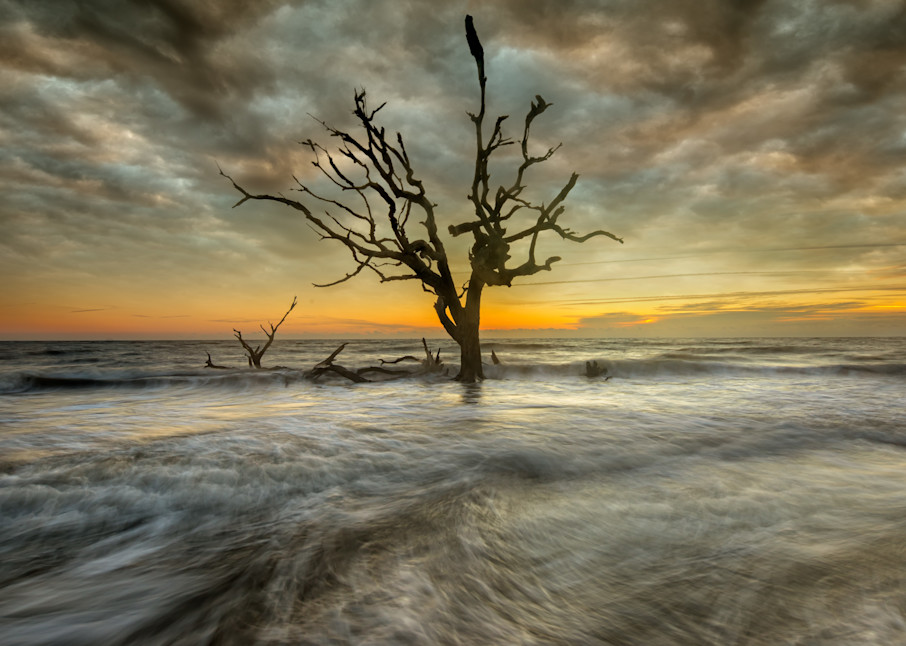 Jekyll Island 3 Photography Art | Gareth Rockliffe Landscape Photography