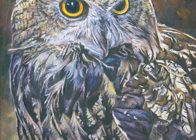 Eurasian Eagle Owl Art | Teri Sweeney Art