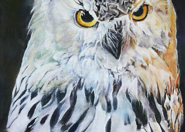 Siberian Eagle Owl Art | Teri Sweeney Art