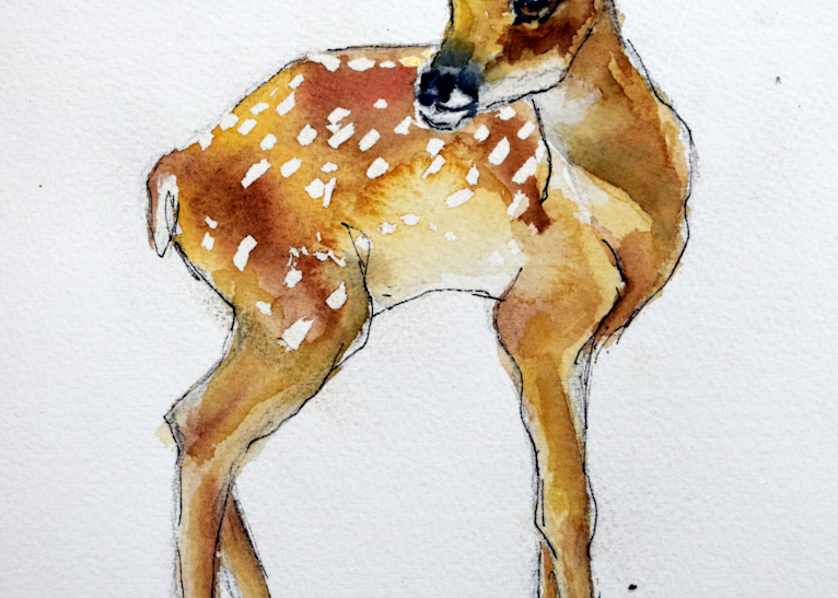 Baby Deer Art | Cathy Poulos Art