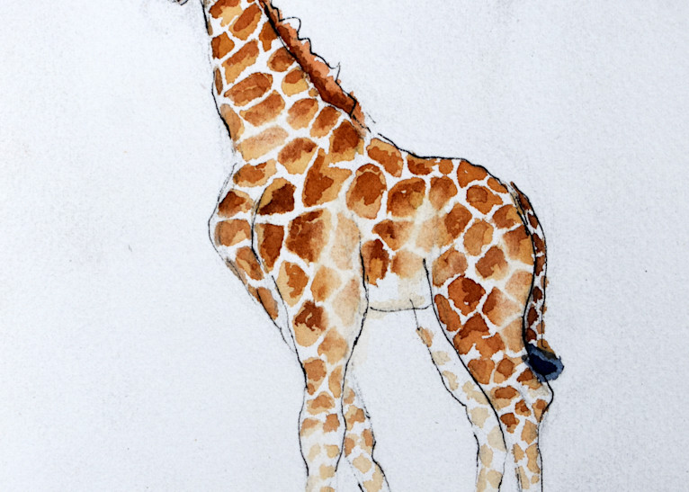 Baby Giraffe  Art | Cathy Poulos Art