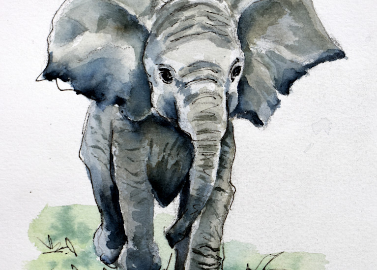 Baby Elephant Art | Cathy Poulos Art