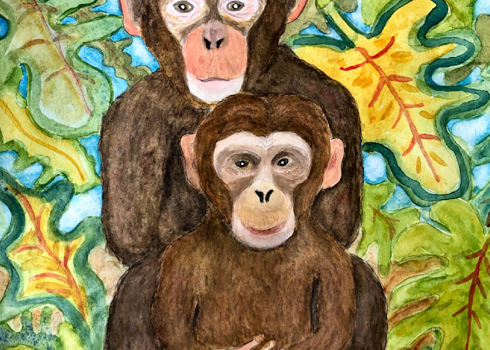 Chimpanzees Art | Becki Thomas Art