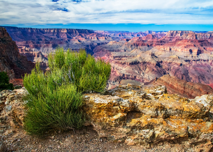 Grand Canyon Medicine — Arizona fine-art photography prints