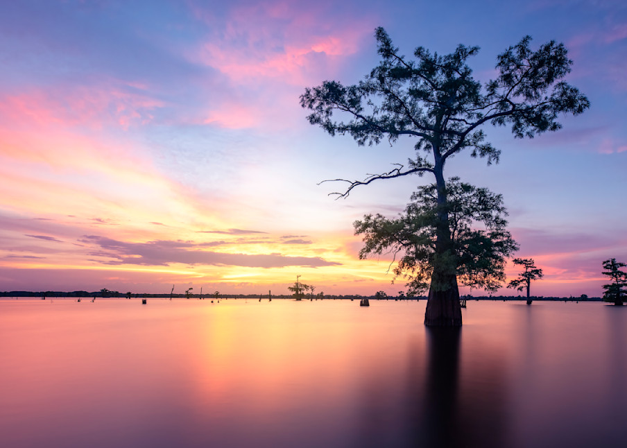 Summer Solstice Sunset - Louisiana swamp fine-art photography prints