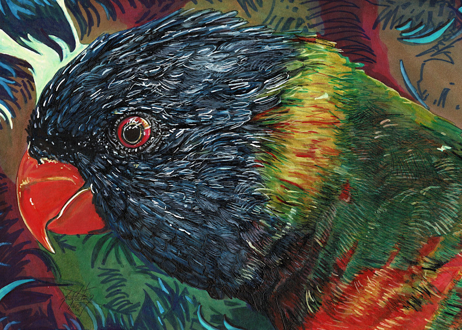 Rainbow Parrot  Art | portnoygallery