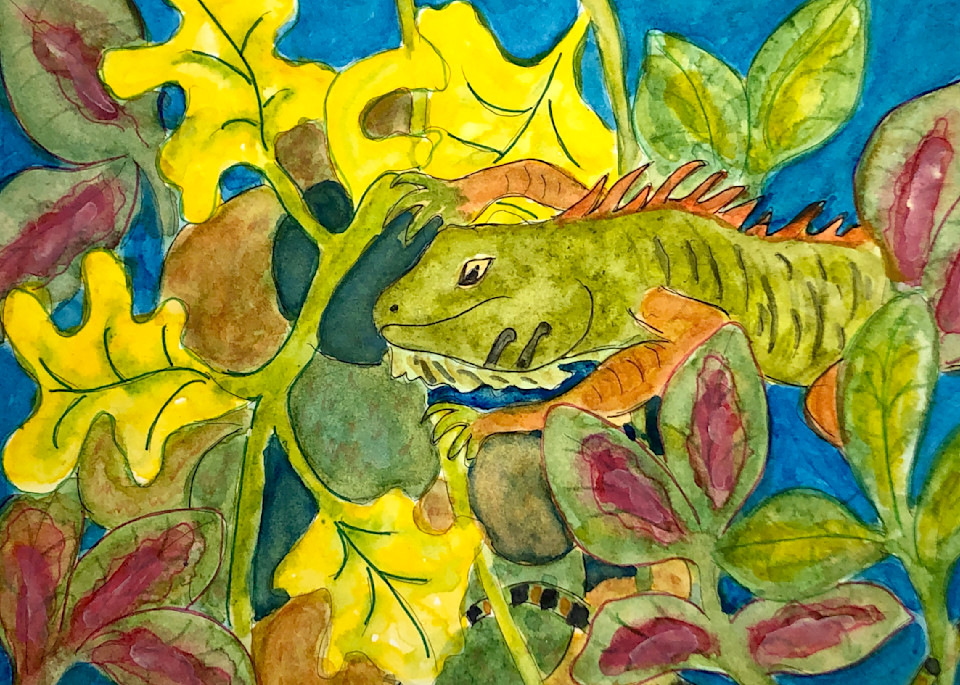 Iguana In Hiding Art | Becki Thomas Art