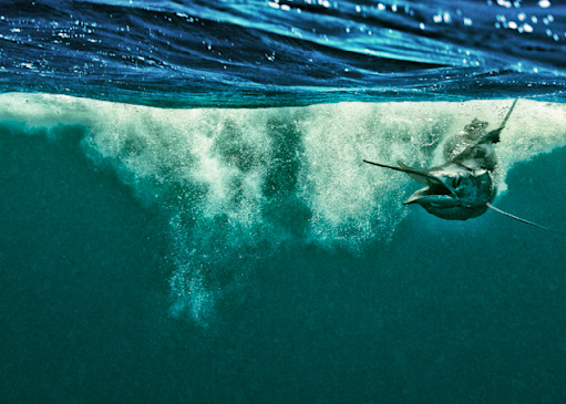 Splashing Sail Photography Art | Dodge Ocean