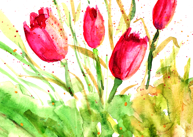 Spring Tulips CARD