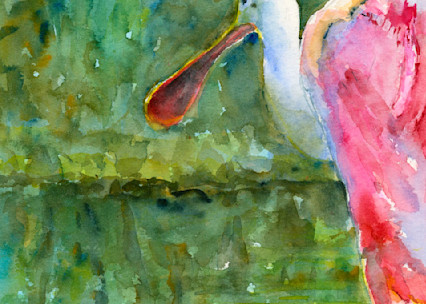 Spoonbill Wading Watercolor Print | Claudia Hafner Watercolor