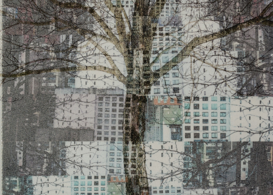 City Tree Art | Libby Cerullo Art