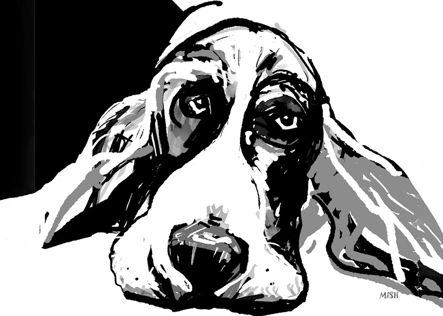 Bashful Basset Hound Art | Mish Murphy Fine Art