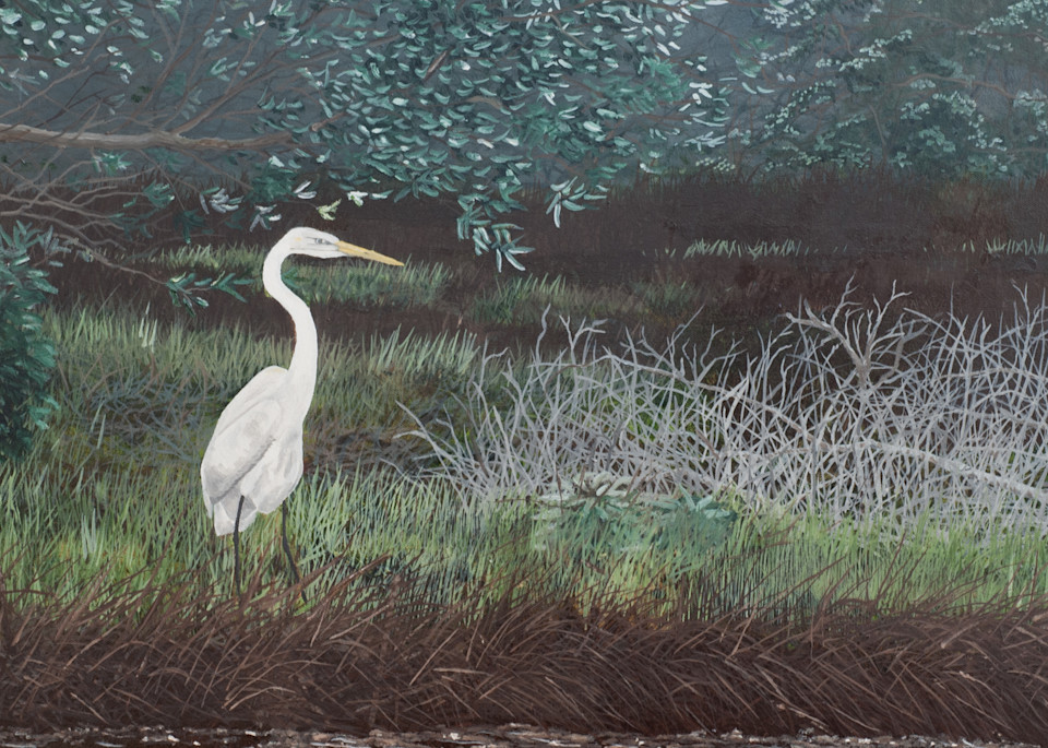 Stalking The Marsh Photography Art | Gary Close Studio of Fine Art