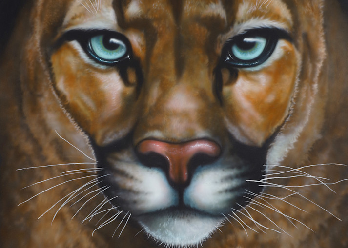 She's A Cougar Art | Jeff Hoppis