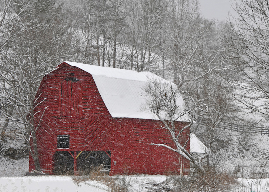 Big Red Snow Photography Art | patcheshire