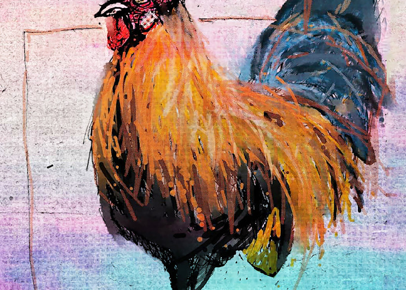 Rooster Art | Mish Murphy Fine Art