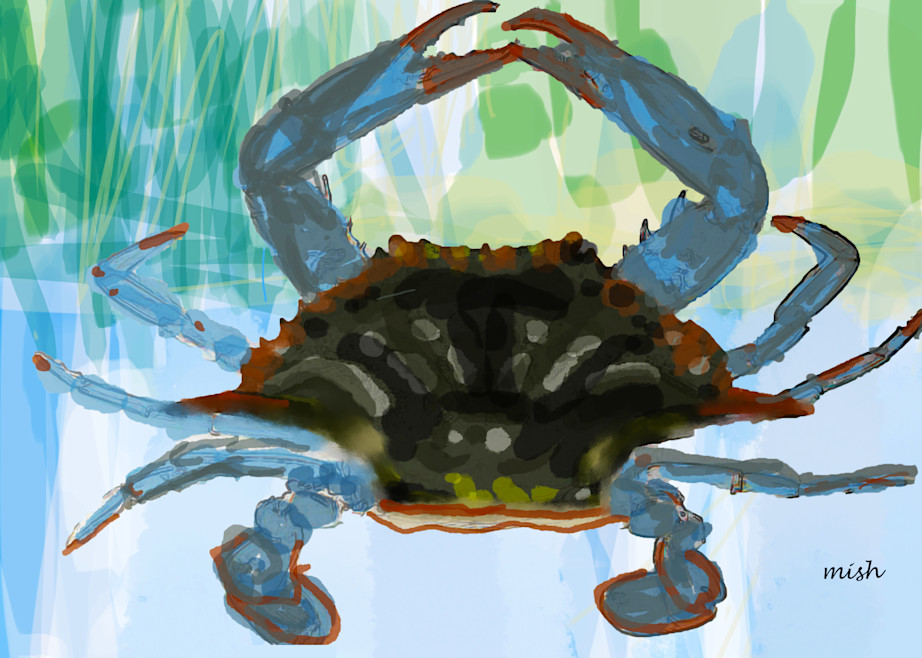Crab Art | Mish Murphy Fine Art