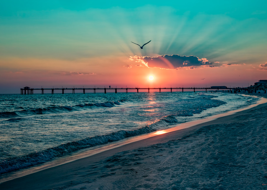 Ocean Sunsetwith  Bird Florida Photograph 1517  | Florida Photography | Koral Martin Fine Art Photography