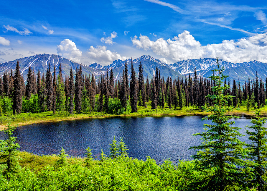 Alaska Range Scenic View
