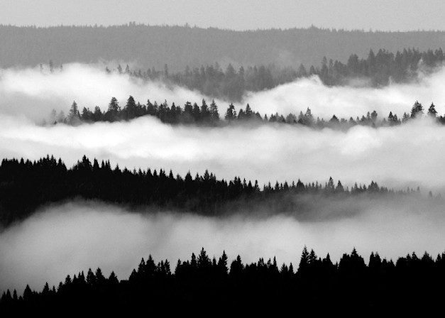 Valley  Of  The  Mist Photography Art | brianoreilly