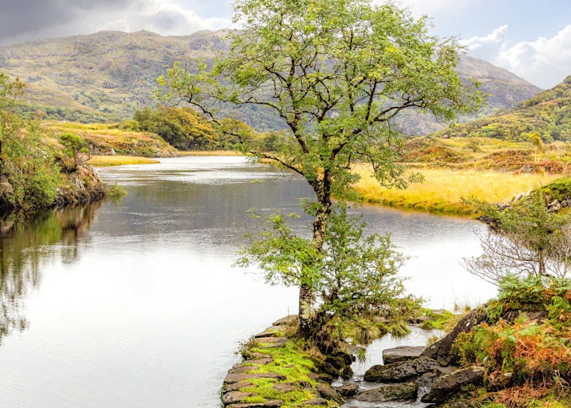 Lone Tree, Old Weir Bridge, Ireland | Landscape Photography | Tim Truby