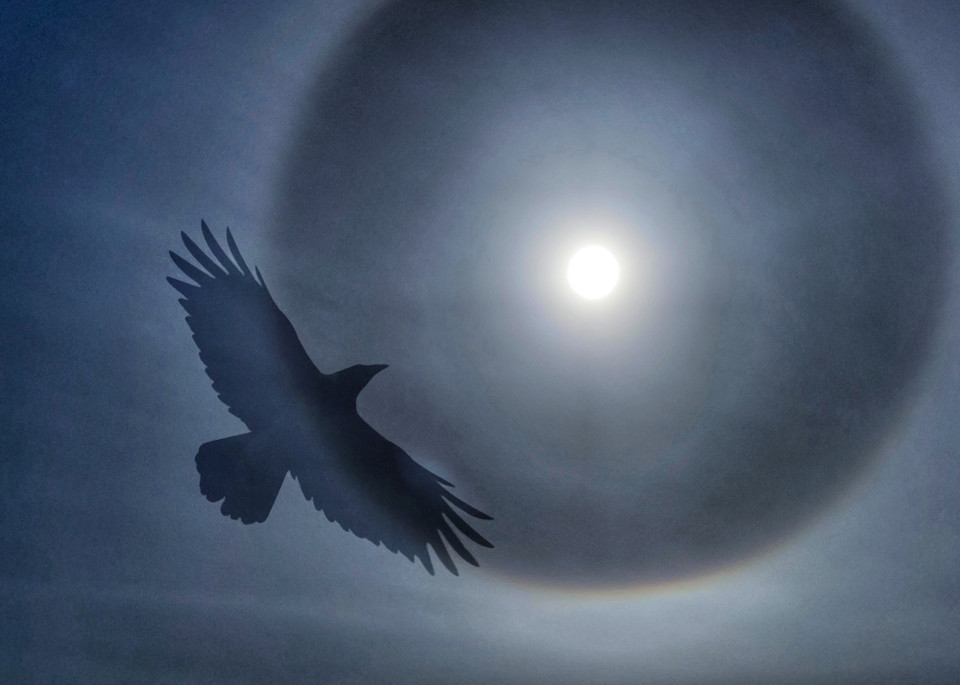 How Raven Stole The Sun Photography Art | Sandy Brown Jensen: I Dream in Gold