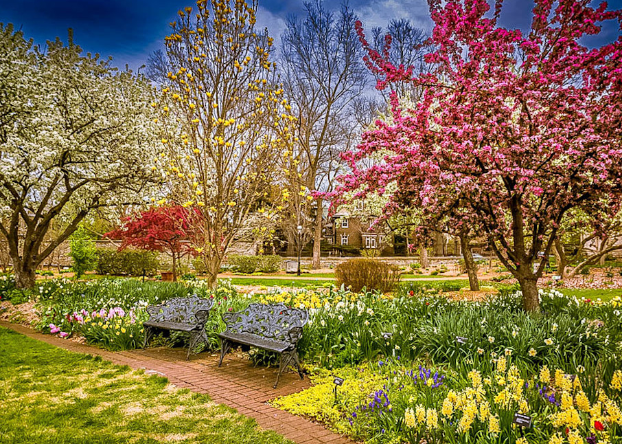 Spring In St. Louis Photography Art | NKF Fine ART