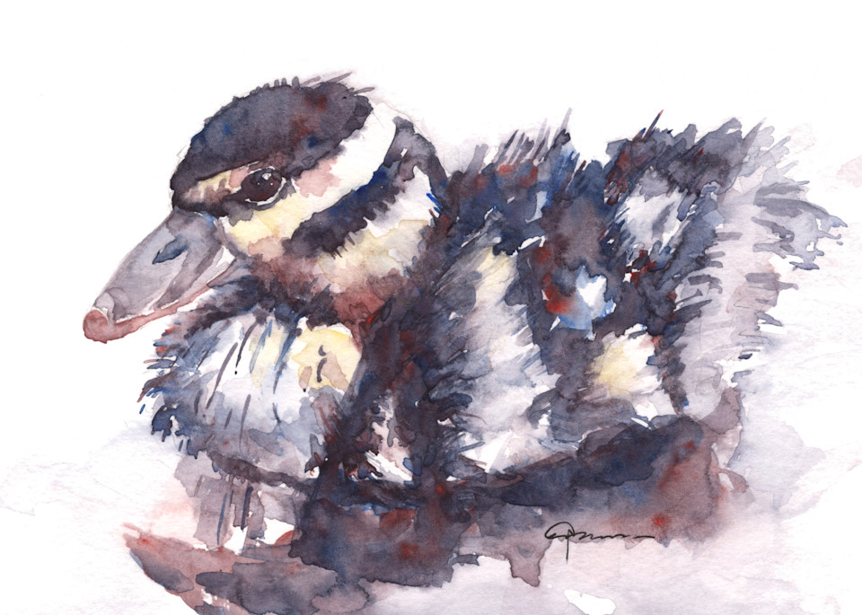Black Bellied Whistling Duck Chick 2 Watercolor Print | Claudia Hafner Watercolor