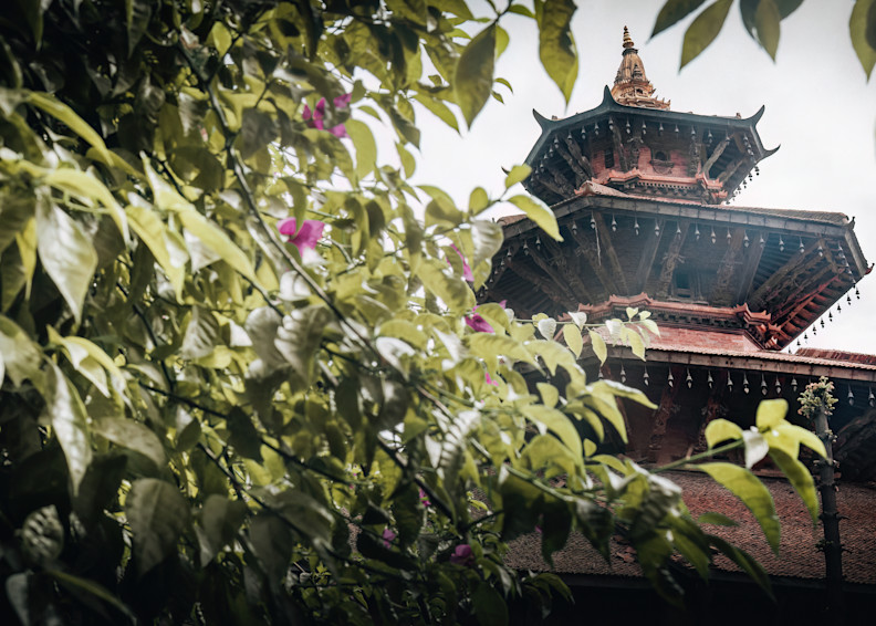Terracotta Foliage   Bandipur, Nepal Photography Art | matthewryanphoto