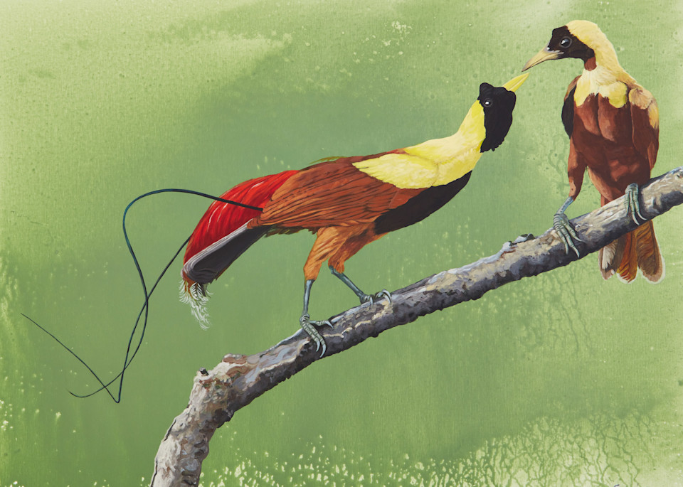 Red Birds Of Paradise Art | Bill Samios Studio