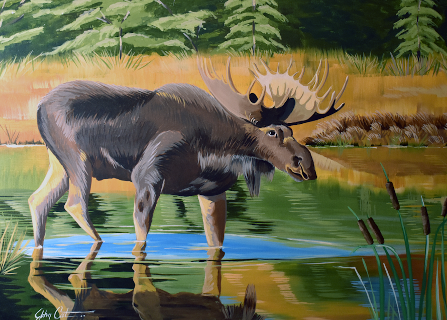 John Catalfamo   Moose River Art | John Catalfamo Art