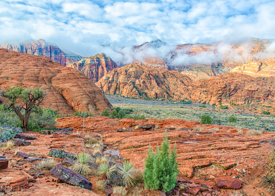 Foggy Morning In Snow Canyon Photography Art | Elizabeth Fortney Photography