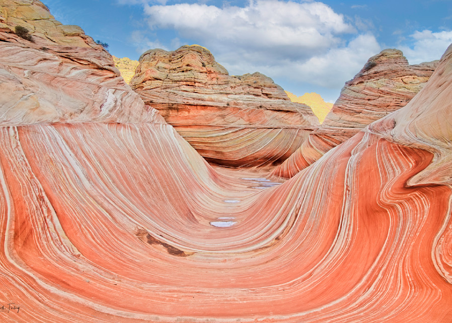 The Wave (North Coyote Buttes, AZ)