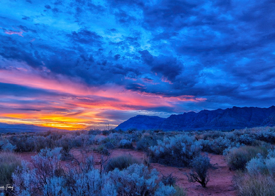 Kayenta Blue Sunset  Photography Art | Elizabeth Fortney Photography