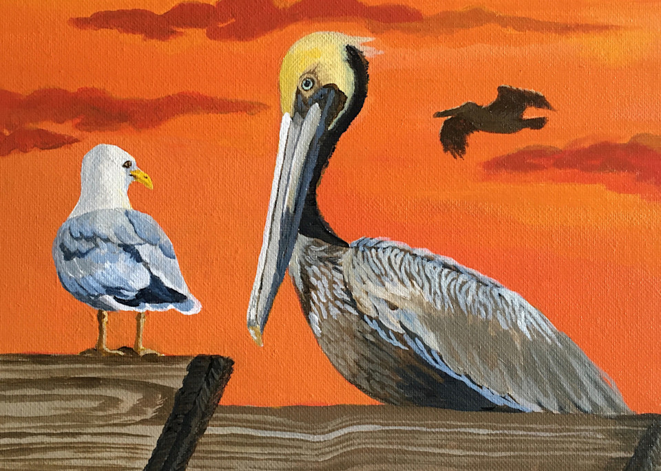 Pelican And Gull At Sunset  Art | Judy's Art Co.