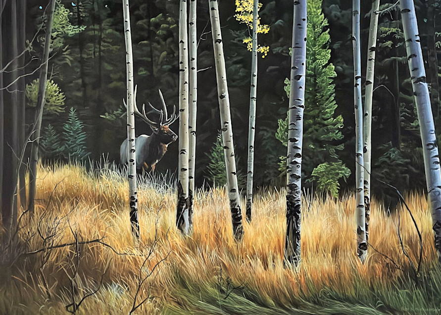Into the Open elk print by Peter Mathios