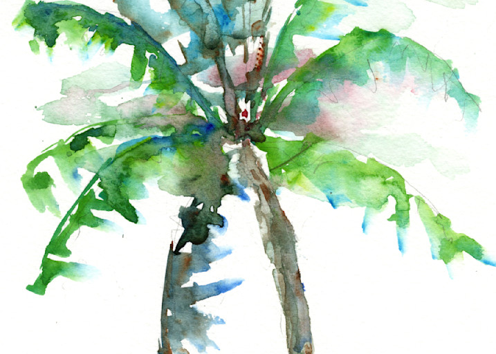 Palm Tree 4 Watercolor Print | Claudia Hafner Watercolor