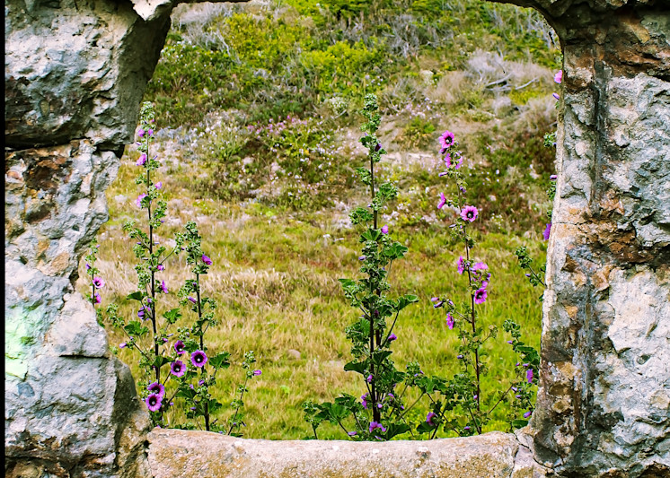 Sutro Baths Portal Consignment Photography Art | Xan Blood Walker Fine Art Photography