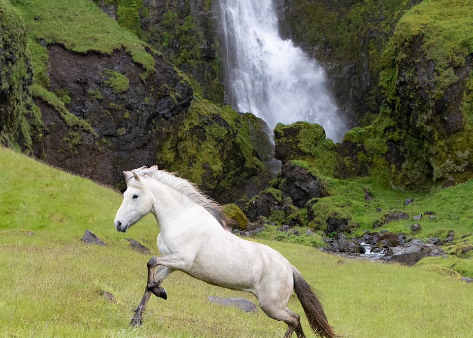 White Horse At The Waterfall Tote Photography Art | Living Images by Carol Walker, LLC
