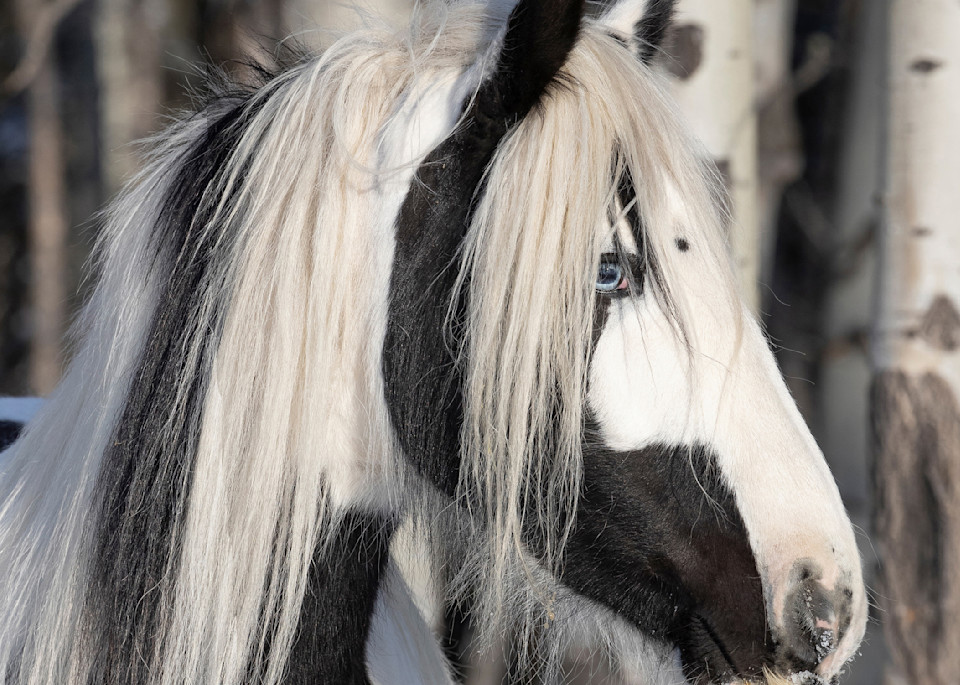 Gypsy In The Forest Tote Photography Art | Living Images by Carol Walker, LLC