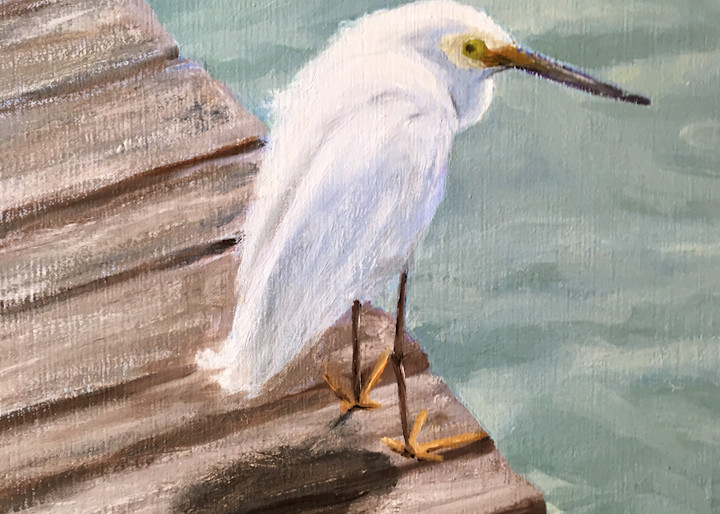 Snowy Egret Art | Peter Barrett Fine Art
