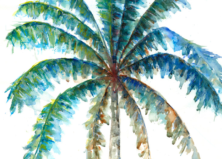 Palm Tree 7 Watercolor Print | Claudia Hafner Watercolor