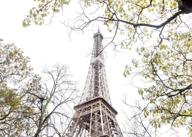 Paris The Eiffel Tower in Autumn