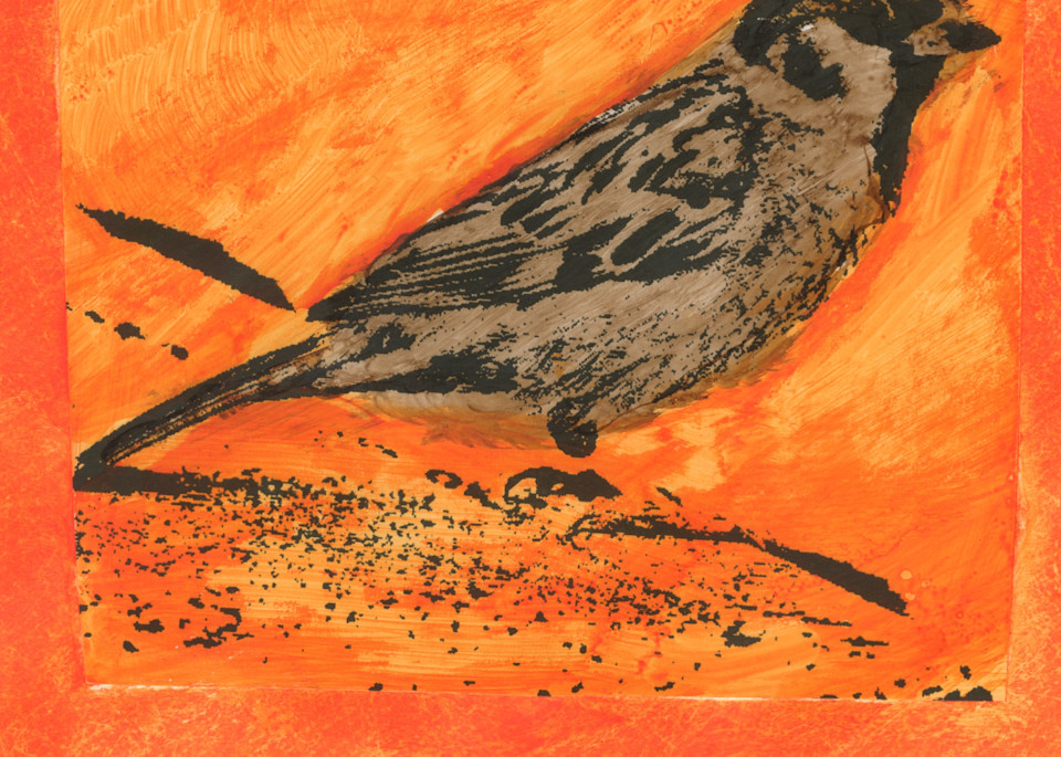 Sparrow In Orange Art | Mark Rushton
