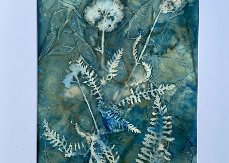 Cyanotype 1 Art | Linda Benton McCloskey