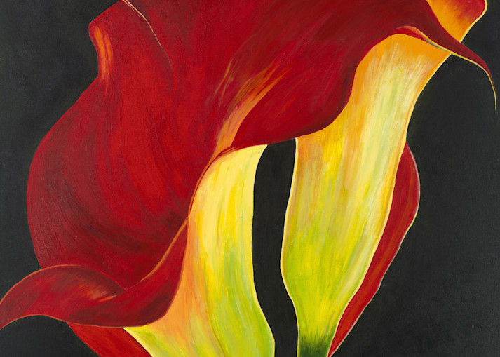 Sunsets' Cala Lilies Art | My Passionate Art, LLC