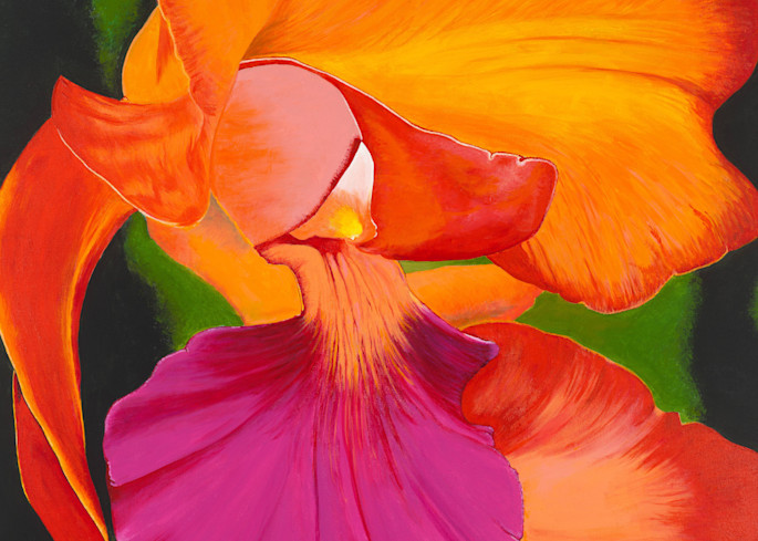 Tropical Splendor Art | My Passionate Art, LLC