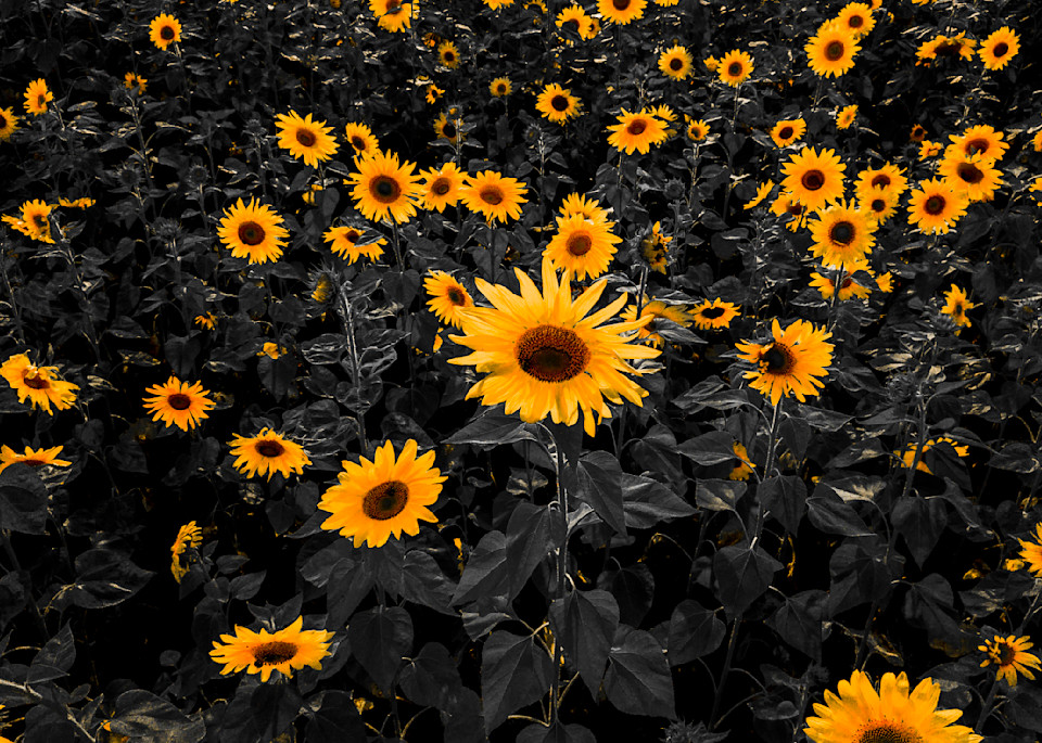 Dji 0829 2 Photography Art | corysewardphotography