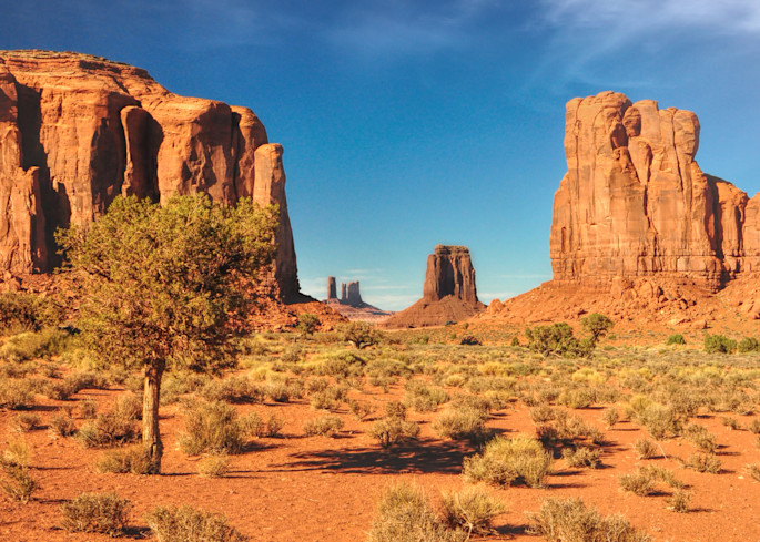 Thunderbird Art | tommurray